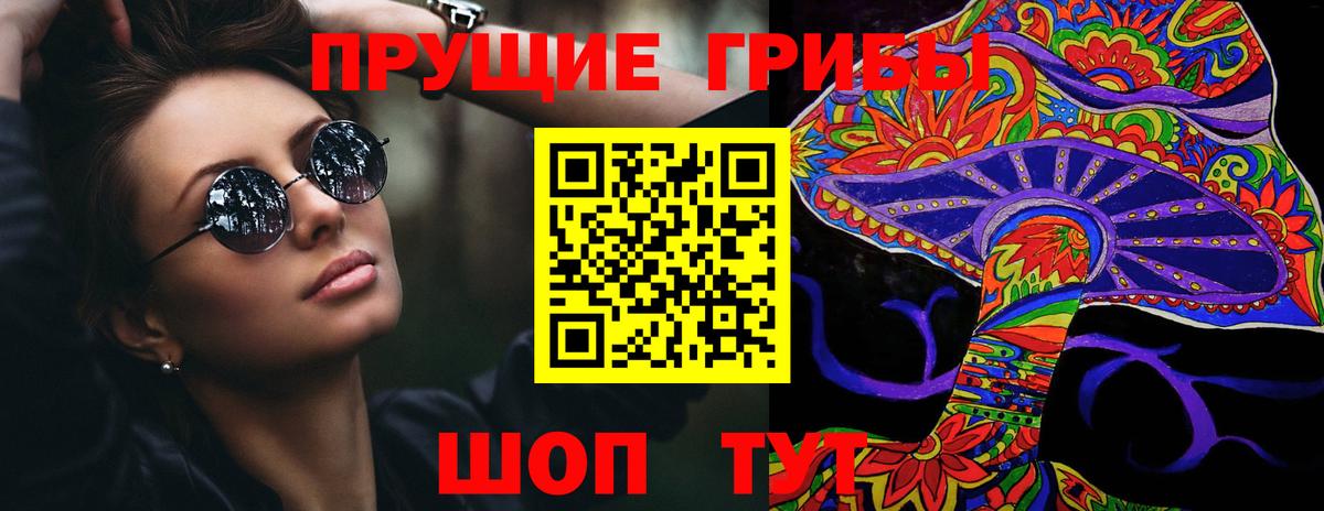 Среднеуральск  Псилоцибиновые грибы Cubensis  Вход с VPN 
